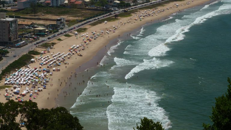 Leia mais sobre o artigo Noticia 1